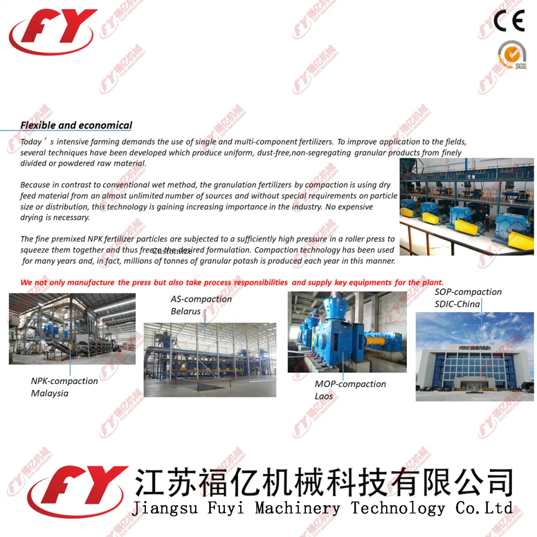 New Design Sodium Chloride Briquette Machine for Sale